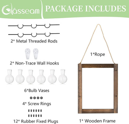 Terrarium Deko Vasen Set mit Holzständer, Hydrokultur Glaswände