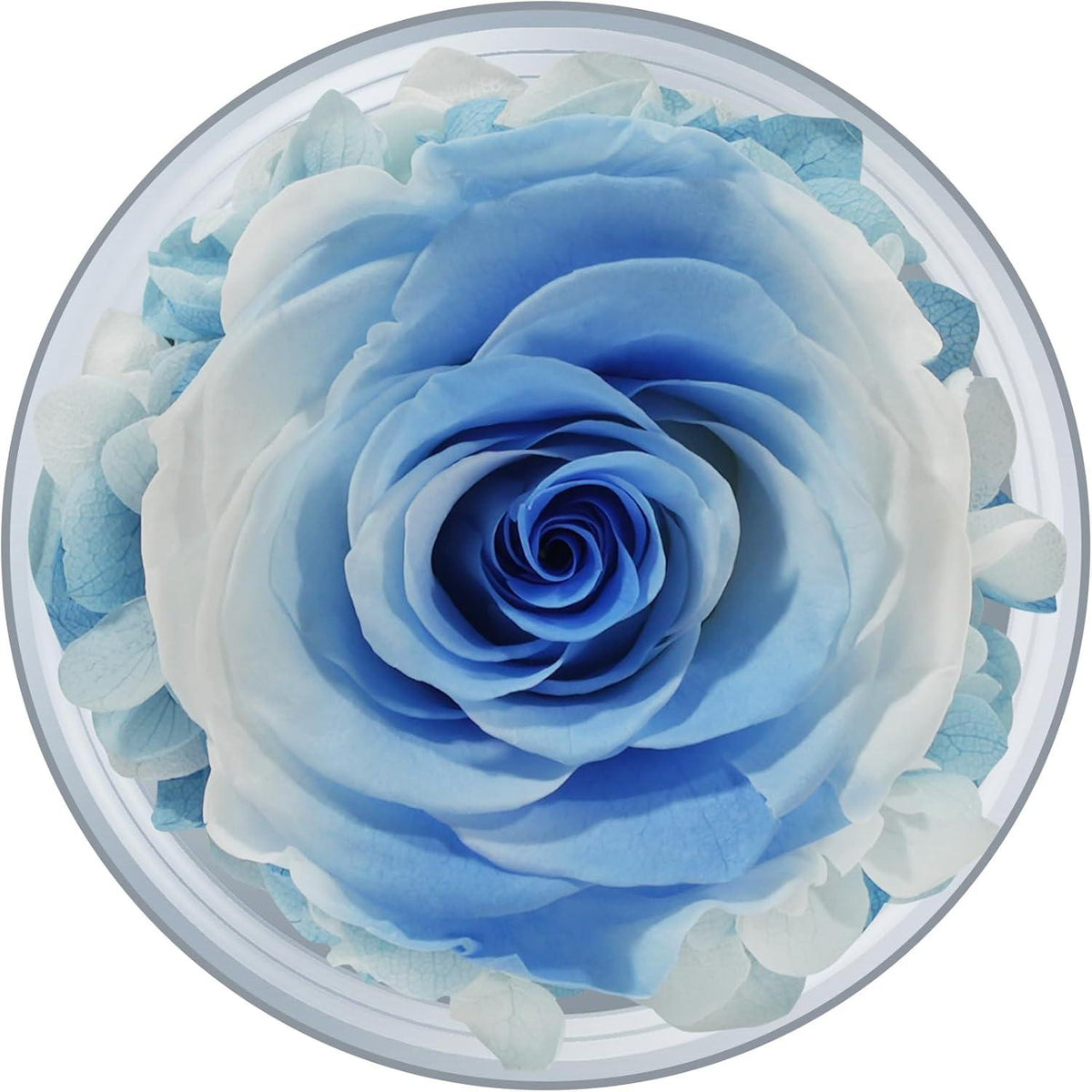Ewige Rose Engel Figur Geschenk Mama Rosen Muttertag Blume Glaskuppel