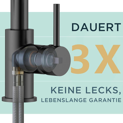 FORIOUS Schwarz Edelstahl Wasserhahn Küche Ausziehbar Mischbatterie 360°Drehbar