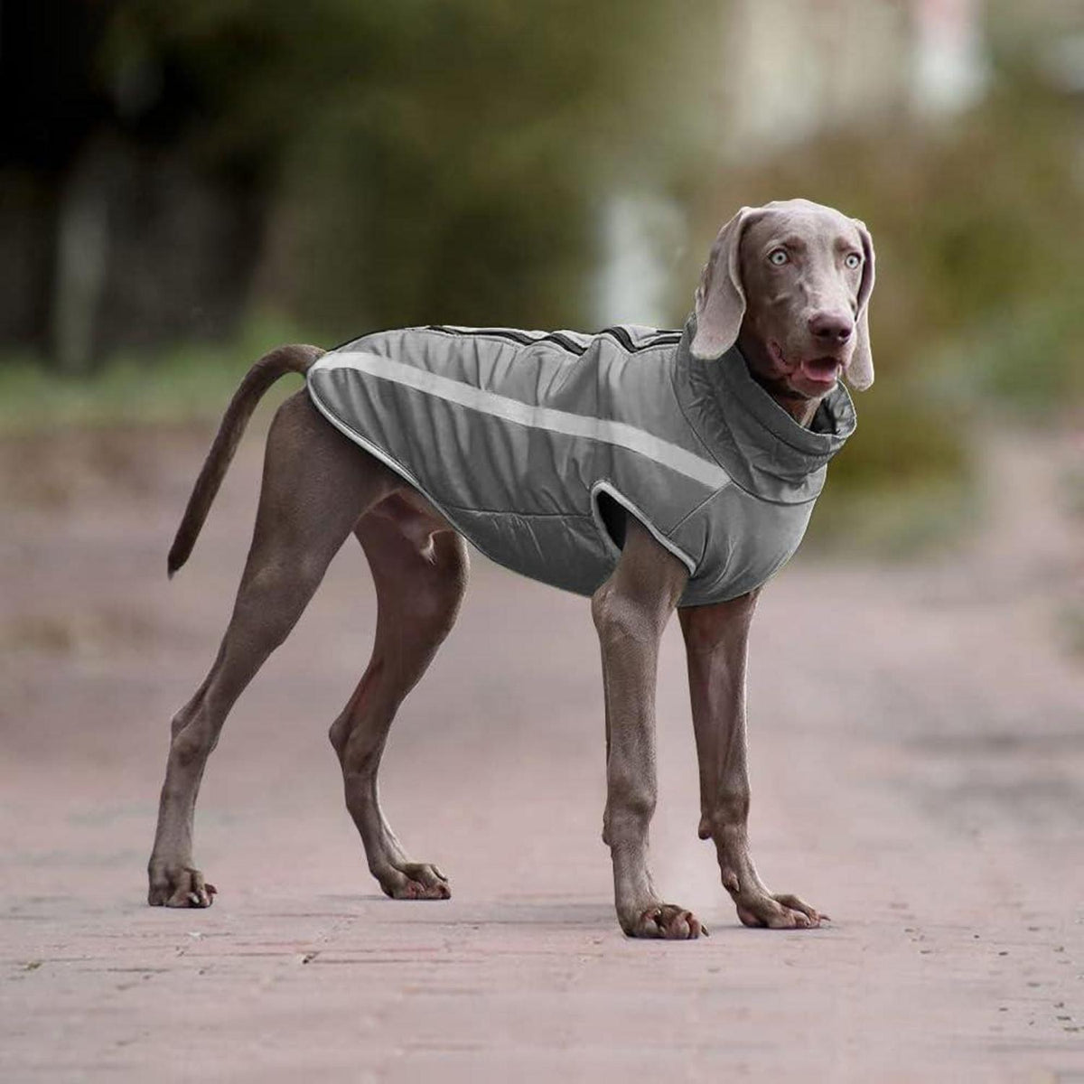 Wasserdichter Hundemantel Winterwarm & Winddicht XL-6XL Grau