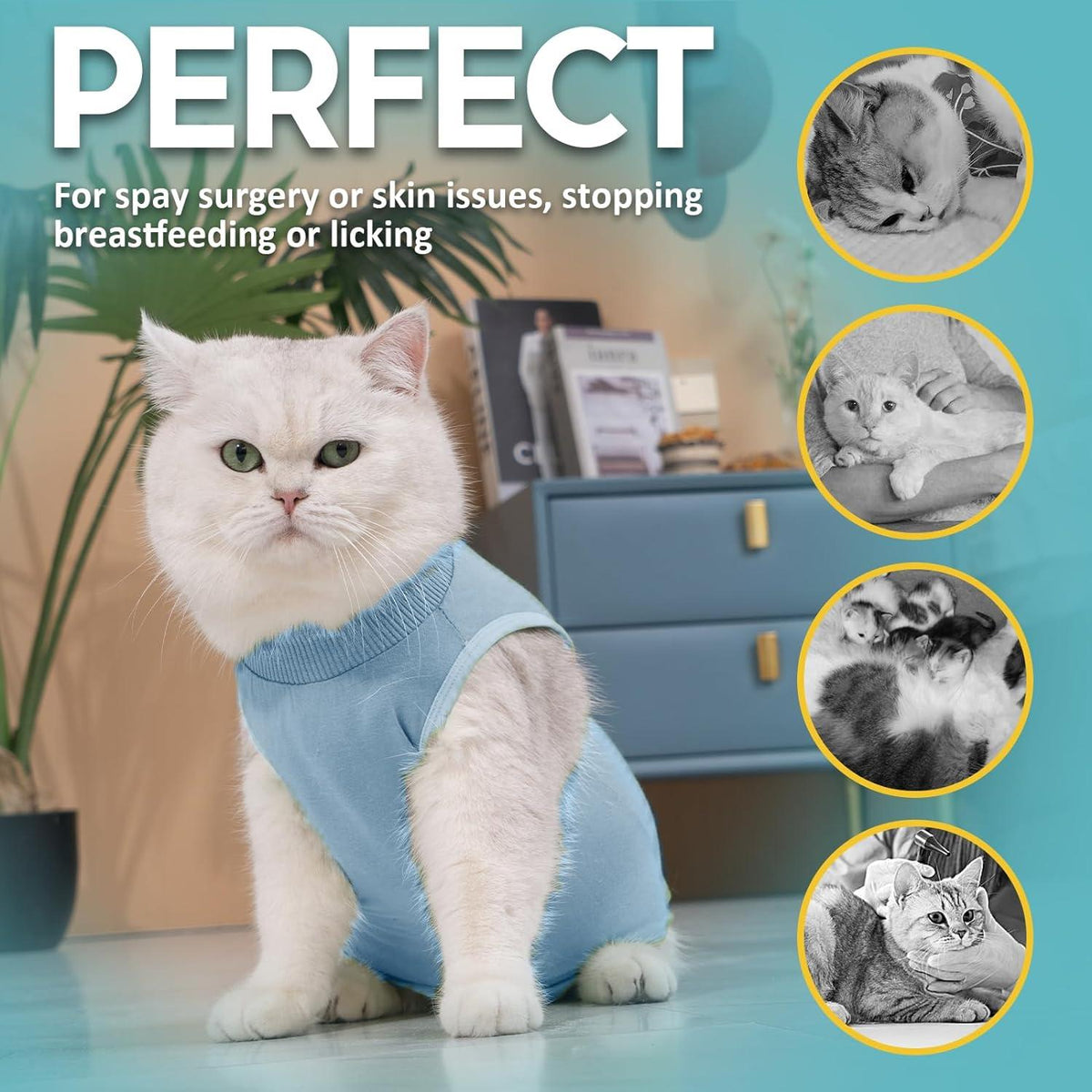 Katzenbody Erholungsanzug Modal Kastration Spay für Katze Bauchwunden - Blau S