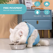 Katzenbody Erholungsanzug Modal Kastration Spay Suit L-Blau