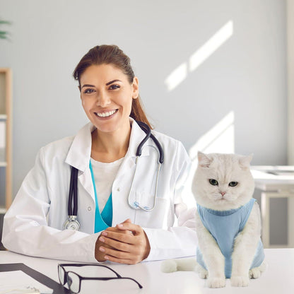 Katzenbody Erholungsanzug Kastration OP Leckschutz Recovery Modal Suit