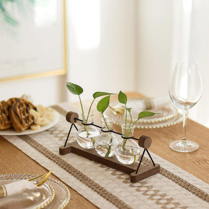 Hydrokultur Glasvase mit Holzständer 3er Set Blumenvasen