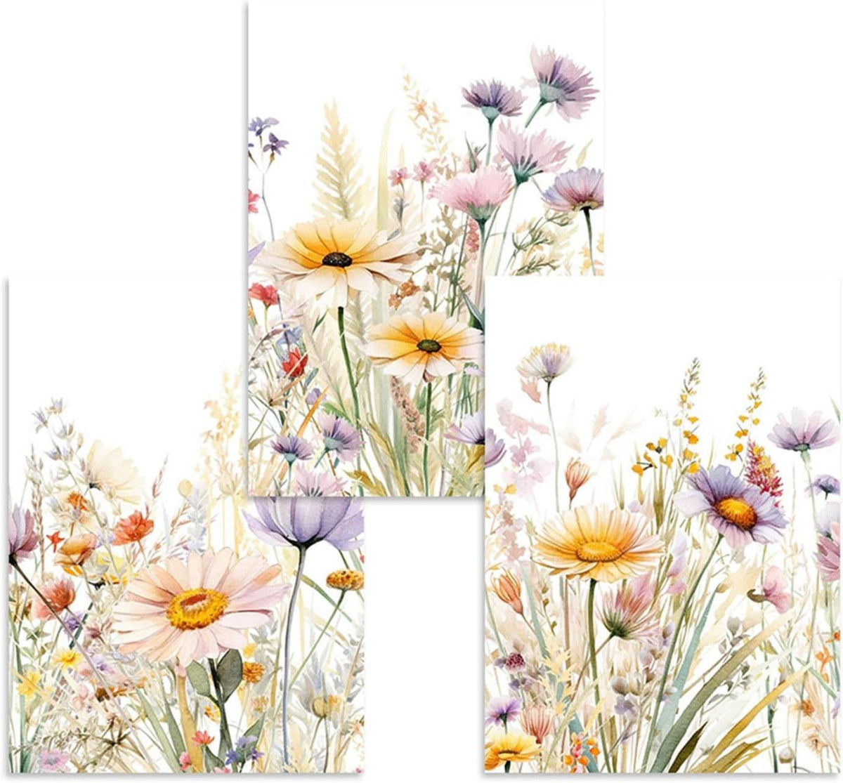 Gänseblümchen Poster 3er Set Wohnzimmer Kunstdrucke Leinwandbilder