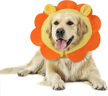 Aufblasbare Halskrause Hund Leckschutz Orange Löwe XL