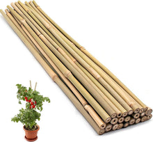 Bambusstäbe 44.5CM 20 Stück Pflanzenstütze für Blumen Gemüse