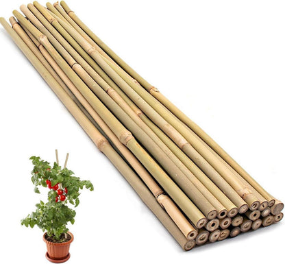 Bambusstäbe 44.5CM 20 Stück Pflanzenstütze für Blumen Gemüse