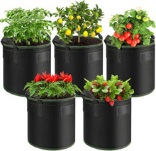 Pflanzsack 5er-Pack 40L Vliesstoff Tomaten Erdbeeren Gemüse Säcke