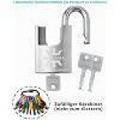 Edelstahl Vorhängeschloss 60mm - 4er Pack, Gleichschließend