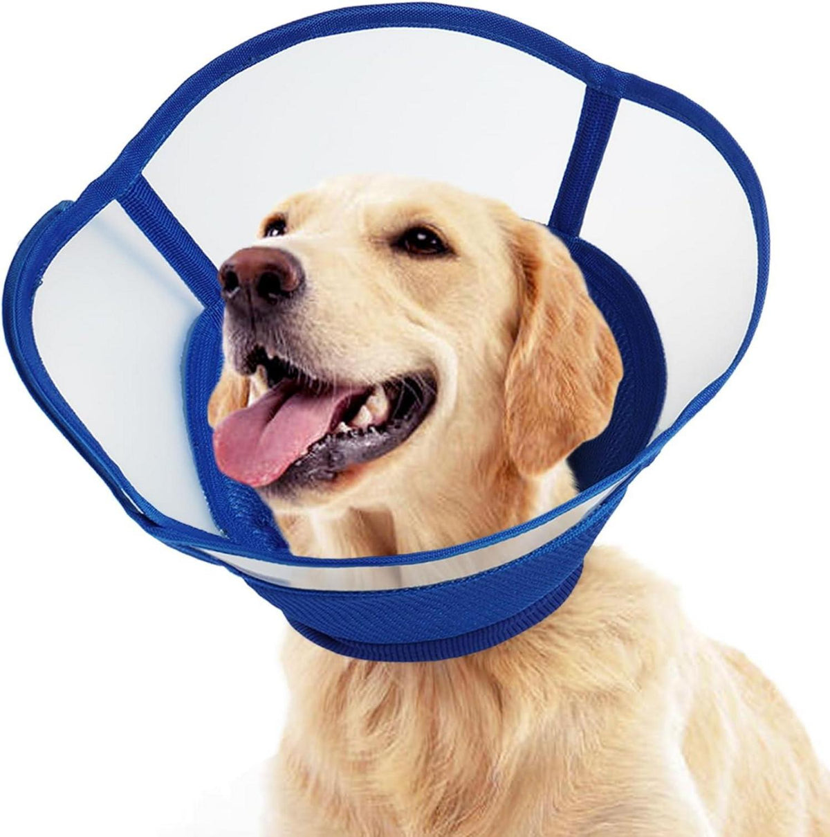 Halskrause Hund Weich Leckschutz Schutzkragen Hunde Nach op Blau L