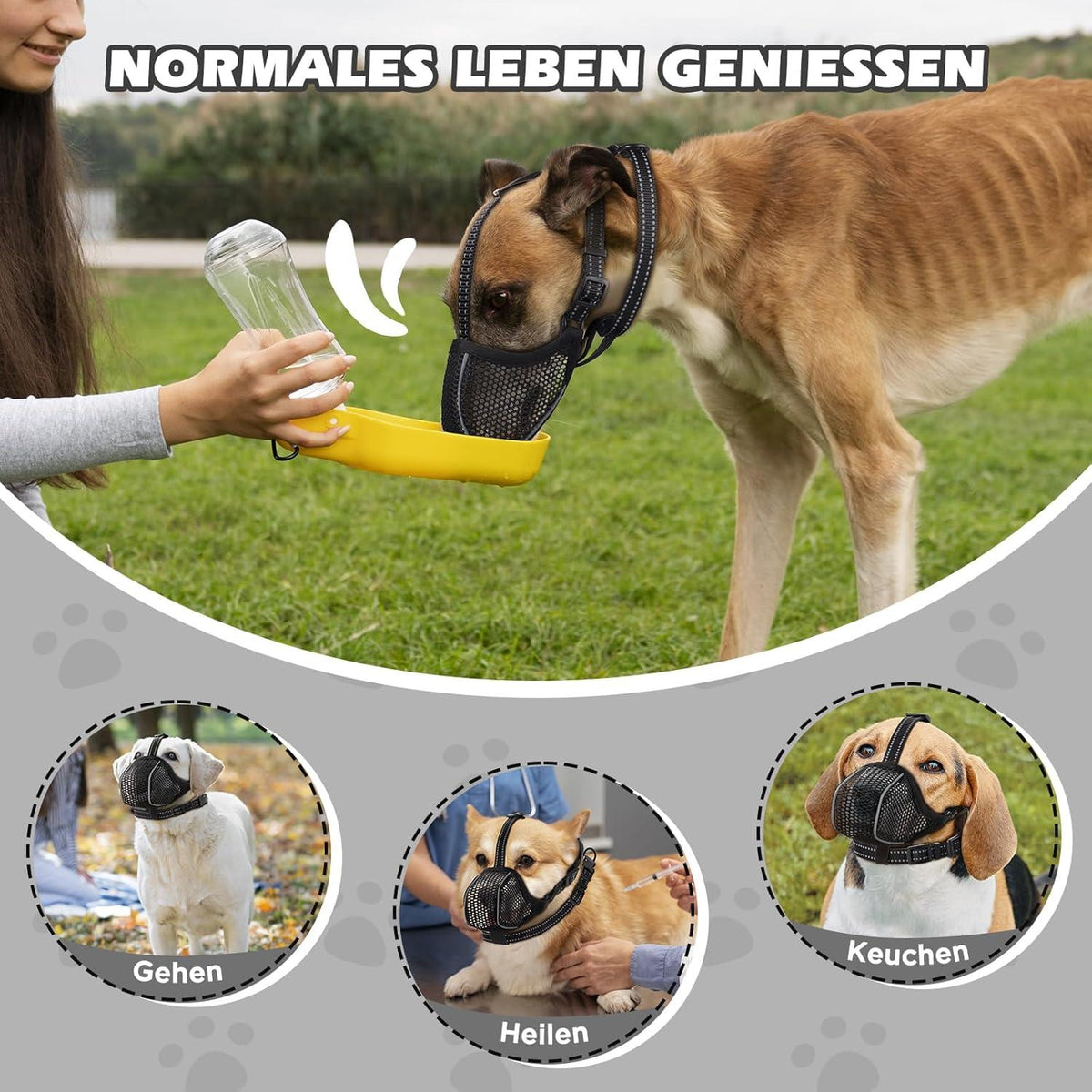 Hund Maulkorb Mesh Soft atmungsaktiv reflektierend einstellbar XS-XL Halsband
