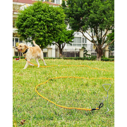 Joytale Schleppleine für Hunde, Reflektierend, Gepolsterter Griff, Orange 10m