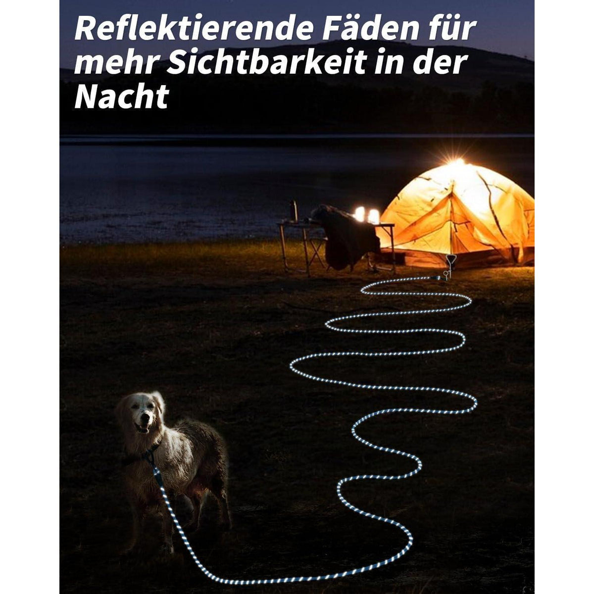 Joytale Schleppleine 5m Blau mit Gepolstertem Griff
