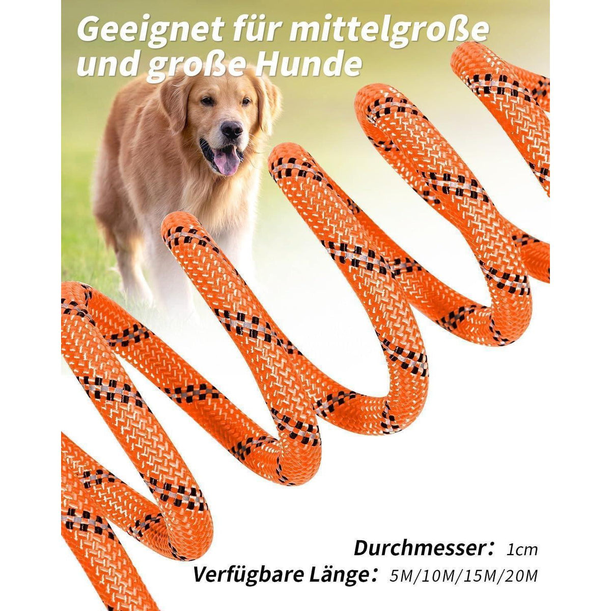 Schleppleine für Hunde, 20m Orange, Reflektierend, Gepolsterter Griff