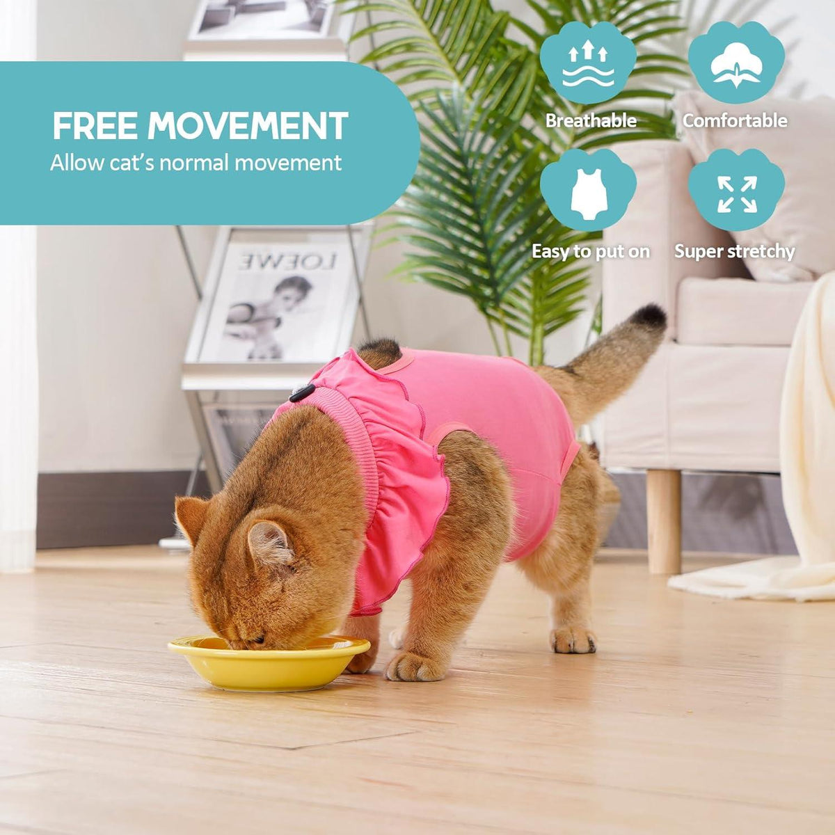 Katzenbody Erholungsanzug Kastration Spay Entwöhnung