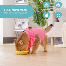 Katzenbody Erholungsanzug Kastration Spay Entwöhnung