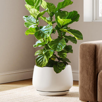 Keramiktopf 30cm mit Untersetzer – Weißer Pflanztopf für Pflanzen