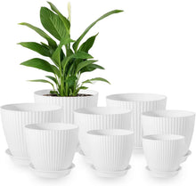 8er Set Blumentopf mit Untersetzer 19-10cm