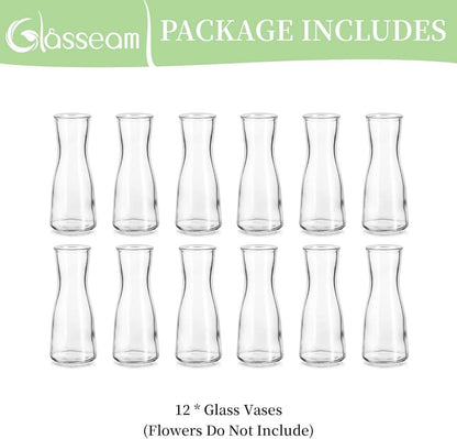 Kleine Glasvasen Set Klar Blumenvase 12 Stück Modern Hochzeit Party