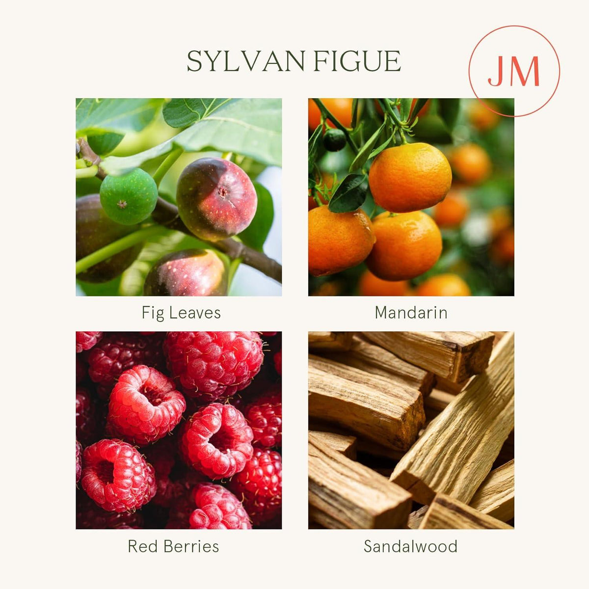 Duftkerze Sylvan Figue 285g - Natürliche Sojakerze im Glas, 75