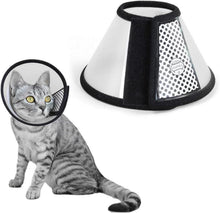 Katzen Halskrause Kunststoff Elisabethanischer Kragen XS 18-22cm