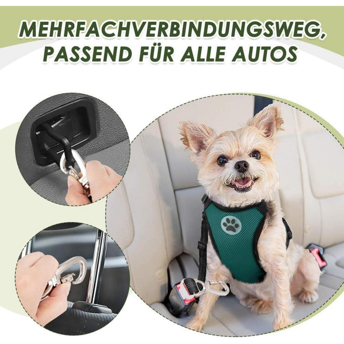 Hundegeschirr Auto Sicherheitsgurt Set – Atmungsaktiv, Grün, S