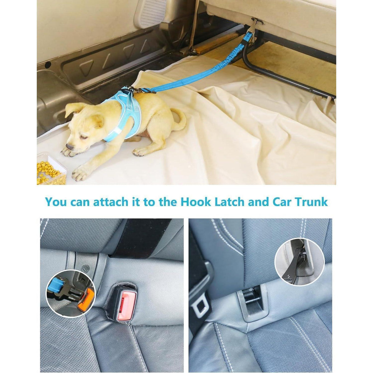 Hund Auto Sicherheitsgurt mit Bungee & 360° Drehklickverschluss