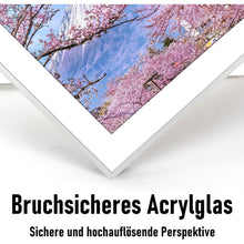 Bilderrahmen Aluminium 40x50 Silber Acrylglas Passepartout