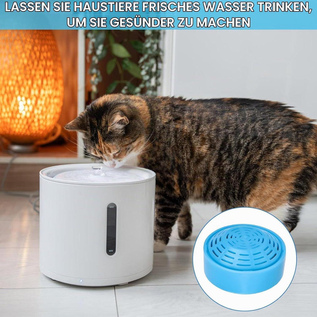 6x Katzenbrunnen Filter für Edelstahl Trinkbrunnen