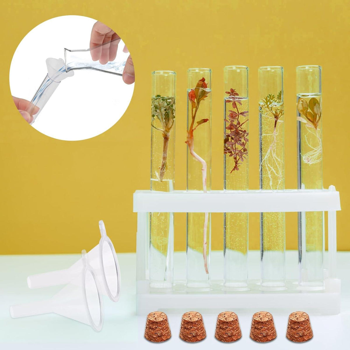 Reagenzgläser Set Korken 150x16mm 20mL Blumen Geschenk 65 Kraftpapieranhänger