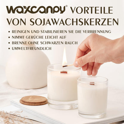 15kg Sojawachs für Kerzen – Premium, Nachhaltig & Rein