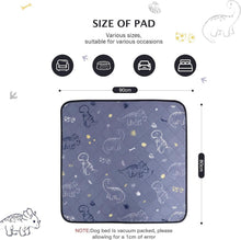 Welpenunterlagen Waschbar Dinosaurier Design Grau 80x90cm 2