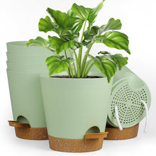 6er Set Selbstbewässernde Pflanzentöpfe 15.2cm Grün-Braun