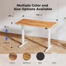 Höhenverstellbarer Schreibtisch 100x60 cm Elektrisch mit