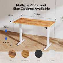 Höhenverstellbarer Schreibtisch 120x60cm elektrisch Memory