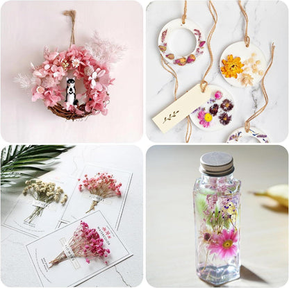 Getrocknete Trockenblumen Natur Gemischt DIY Basteln Scrapbook Zubehör Rosa