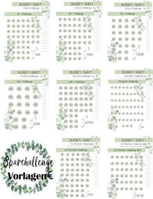 Budget Planner Deutsch-A6 Sparchallenge Eukalyptus 24pcs