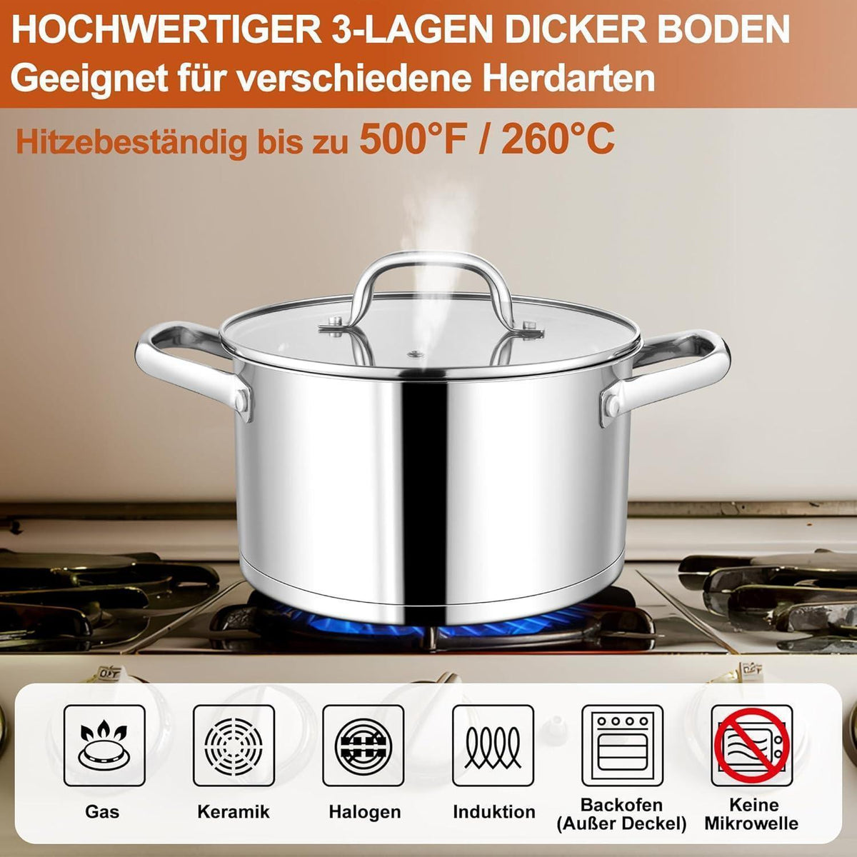 Großer Edelstahl Kochtopf 7,6L mit Glasdeckel, Induktion