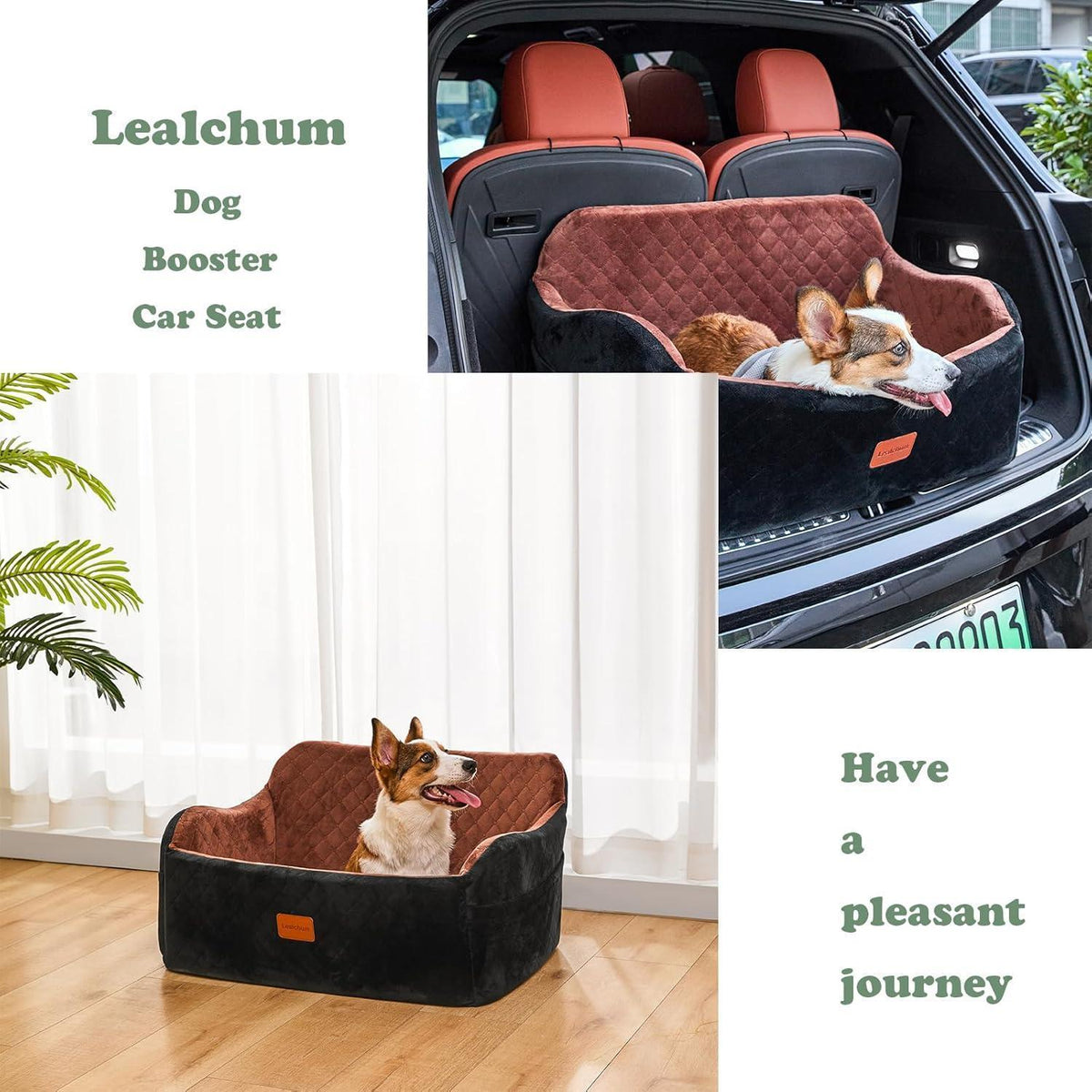 Hundeautositz mittelgroß mit Leine & Memory-Schaum