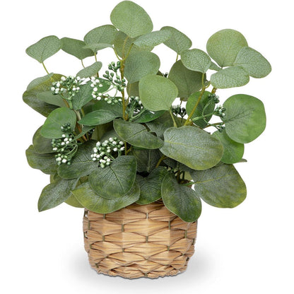 Kunstpflanze Eukalyptus im Topf, 32 cm, Grün
