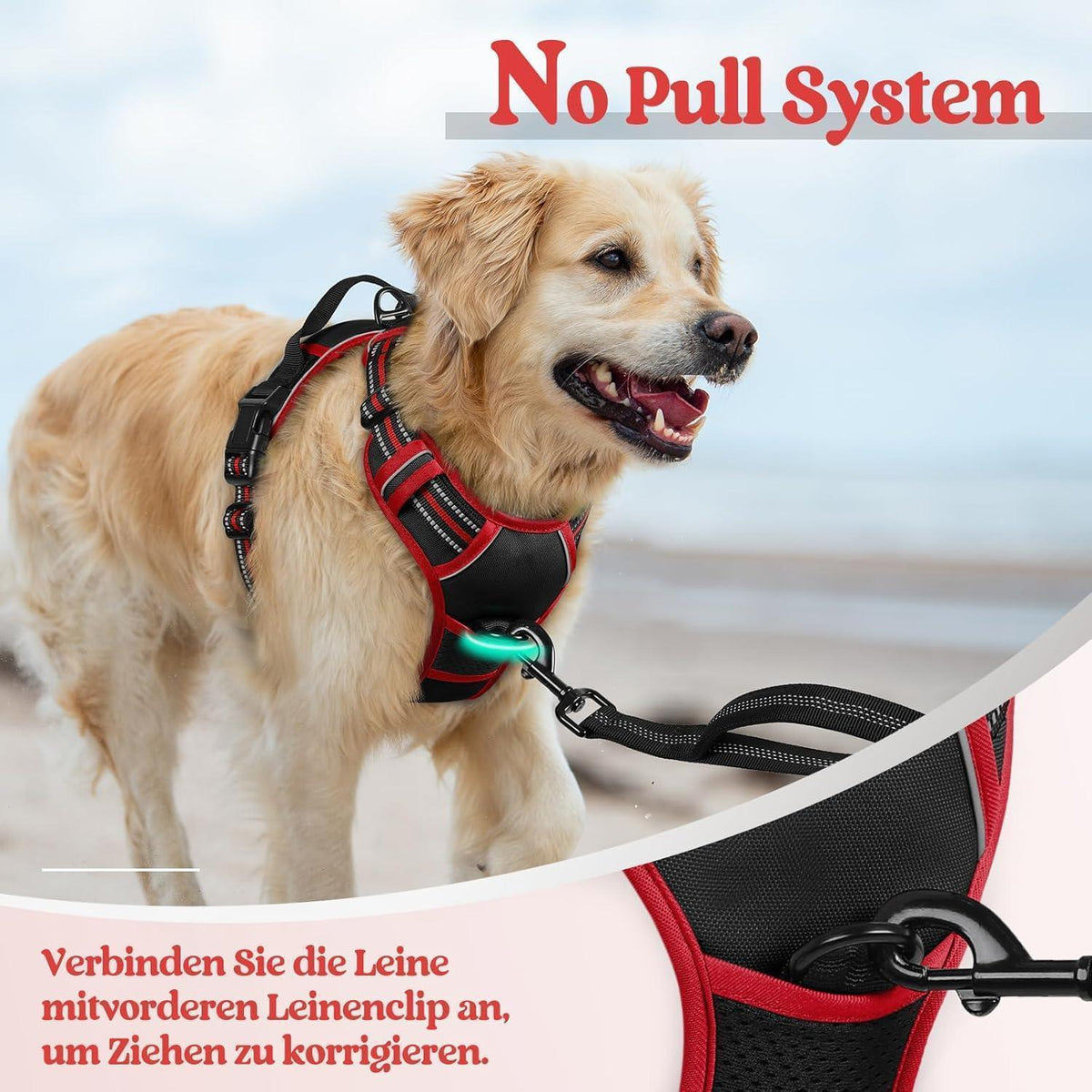 Hundegeschirr Anti-Zug mit Griff, verstellbar, atmungsaktiv, M