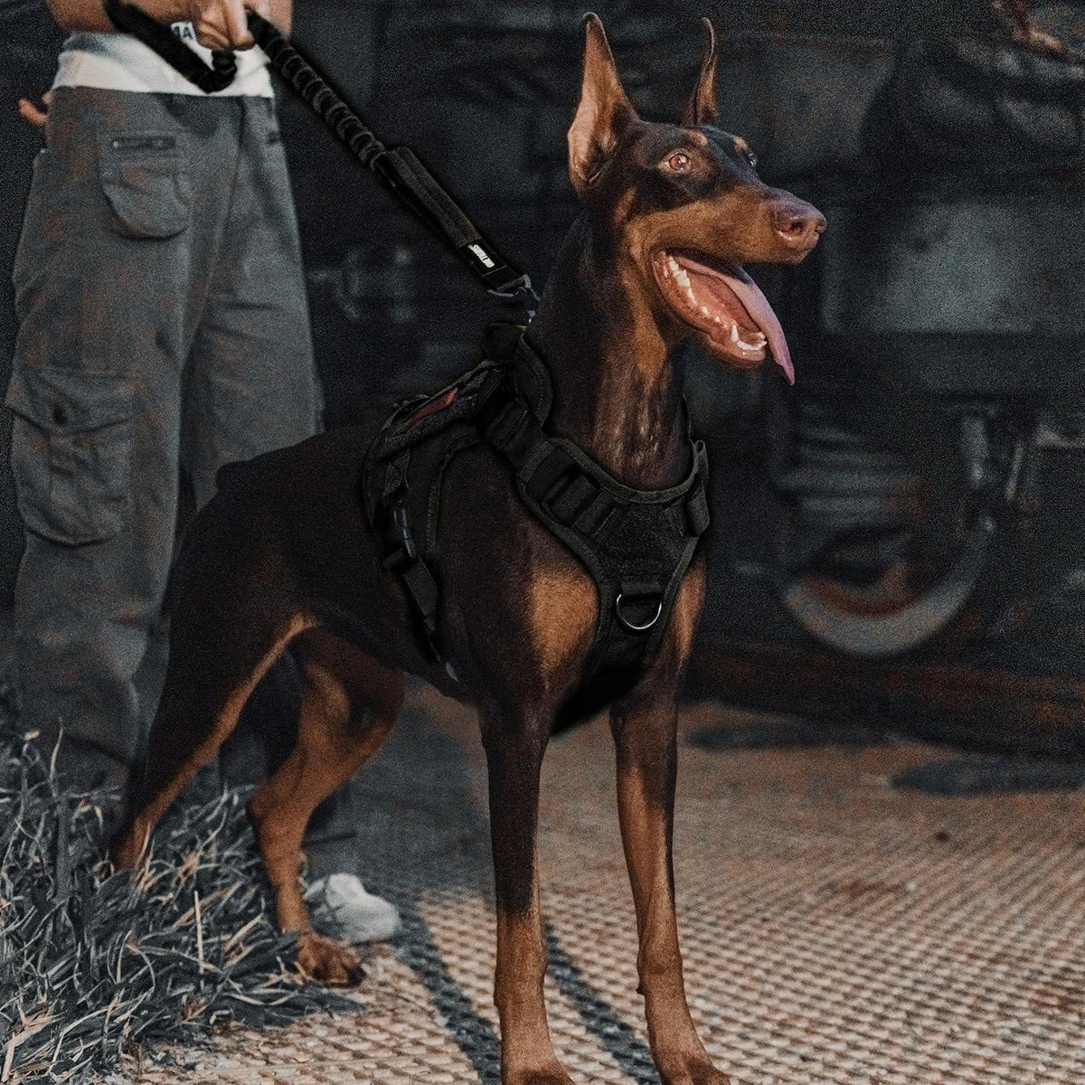 Federbelastete Hundeleine – Schwarz, 86-120 cm Länge