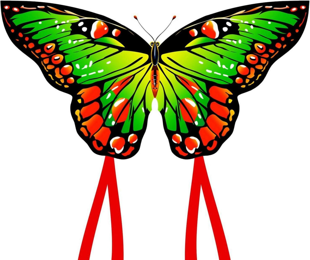 Schmetterling Drachenflieger für Kinder und Erwachsene 120x95cm