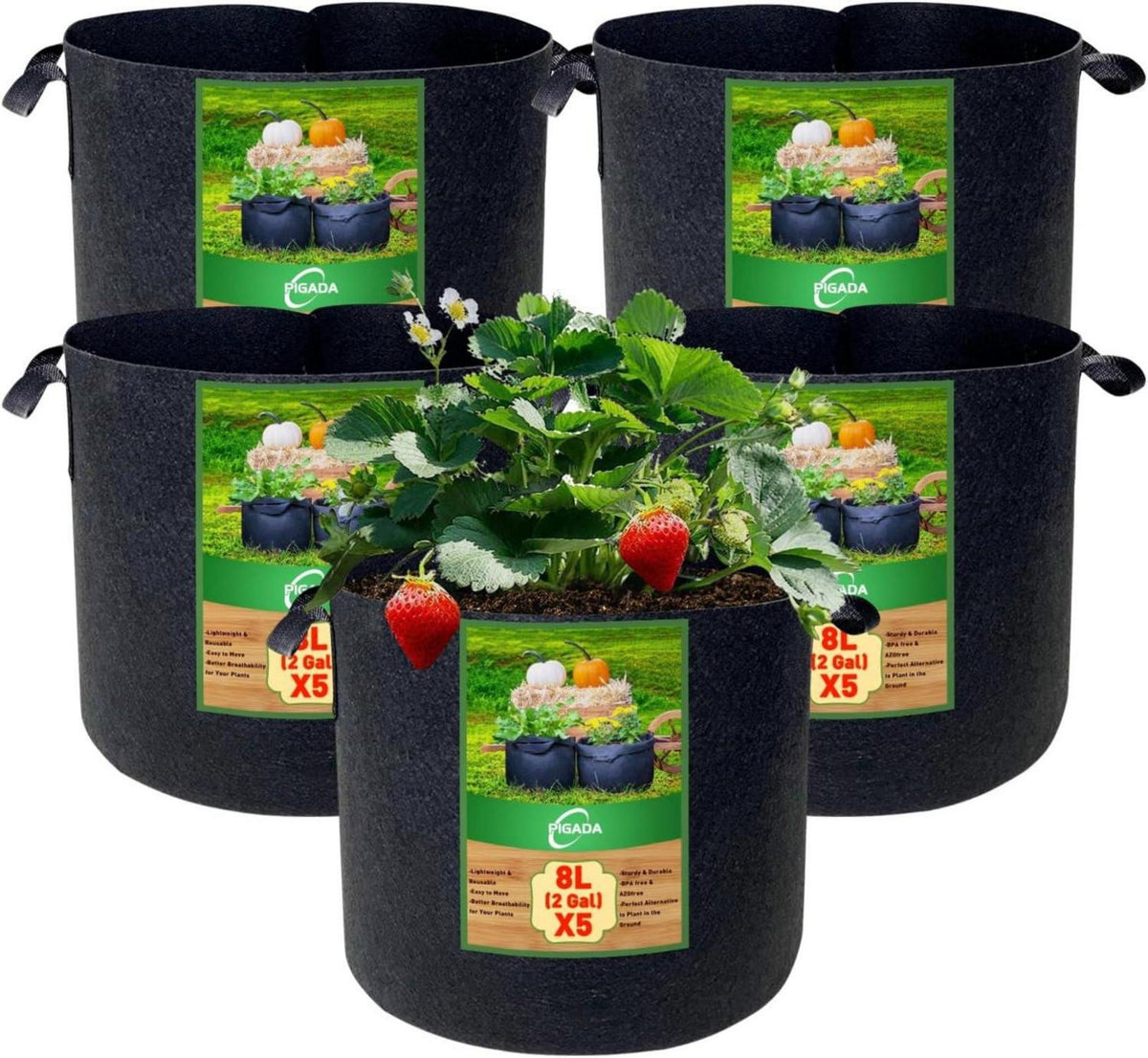 Pflanzsack Stoff Tomaten Kübel Kartoffelsack 8L 5er Set 2 Gal