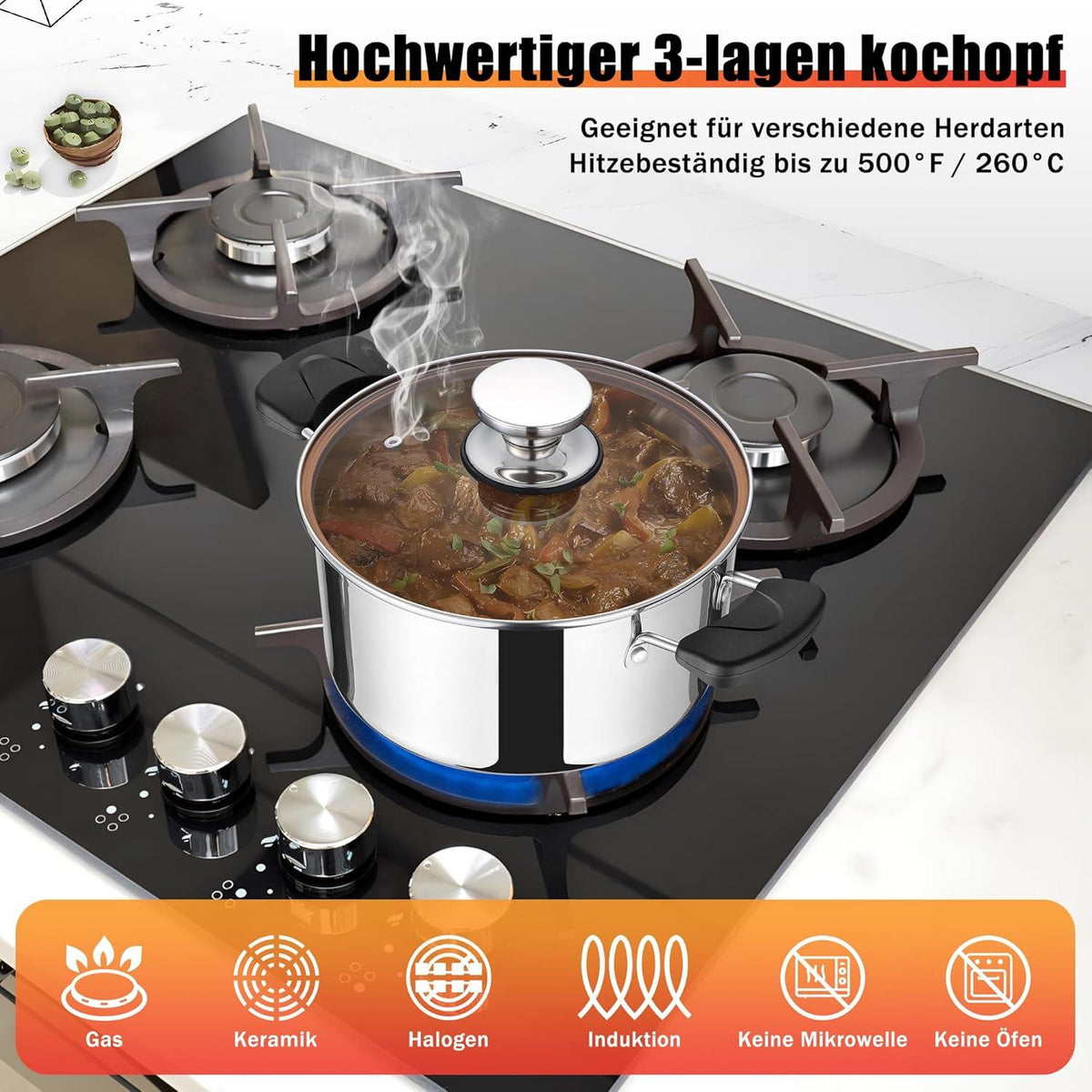 22cm Kochtopf 3-Lagen Edelstahl 4,7L Suppentopf Induktion Glasdeckel