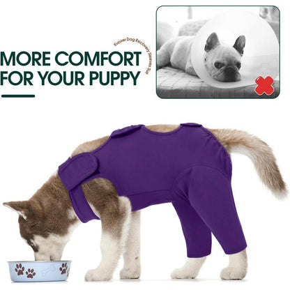 Hundebody nach OP – Wundschutz & Erholung, Lila XXL