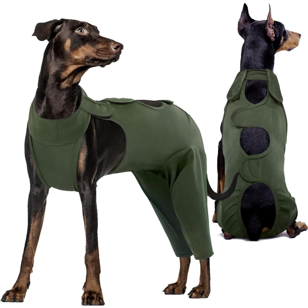 Hundebody nach OP – Wundschutz & Erholung, Militärgrün L