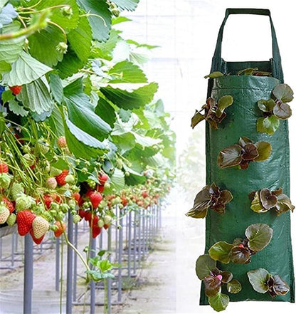 Hängende Erdbeeren Pflanztaschen 2er Set - Pflanzsack für