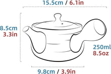TEANAGOO Keramik Teekanne mit Teefilter für losen Tee 8,5oz